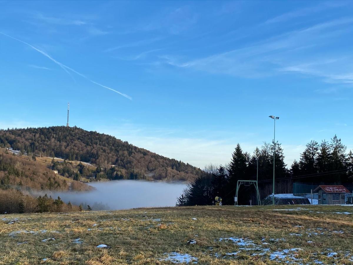 Mitten Im Bayerischen Wald-95M² Wohnung + *Netflix* Direkt Am Skilift! Schofweg Luaran gambar
