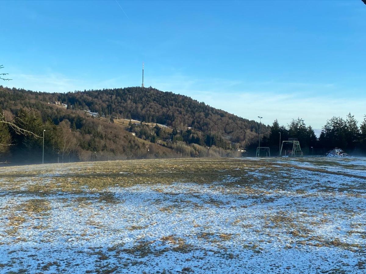 Mitten Im Bayerischen Wald-95M² Wohnung + *Netflix* Direkt Am Skilift! Schofweg Luaran gambar