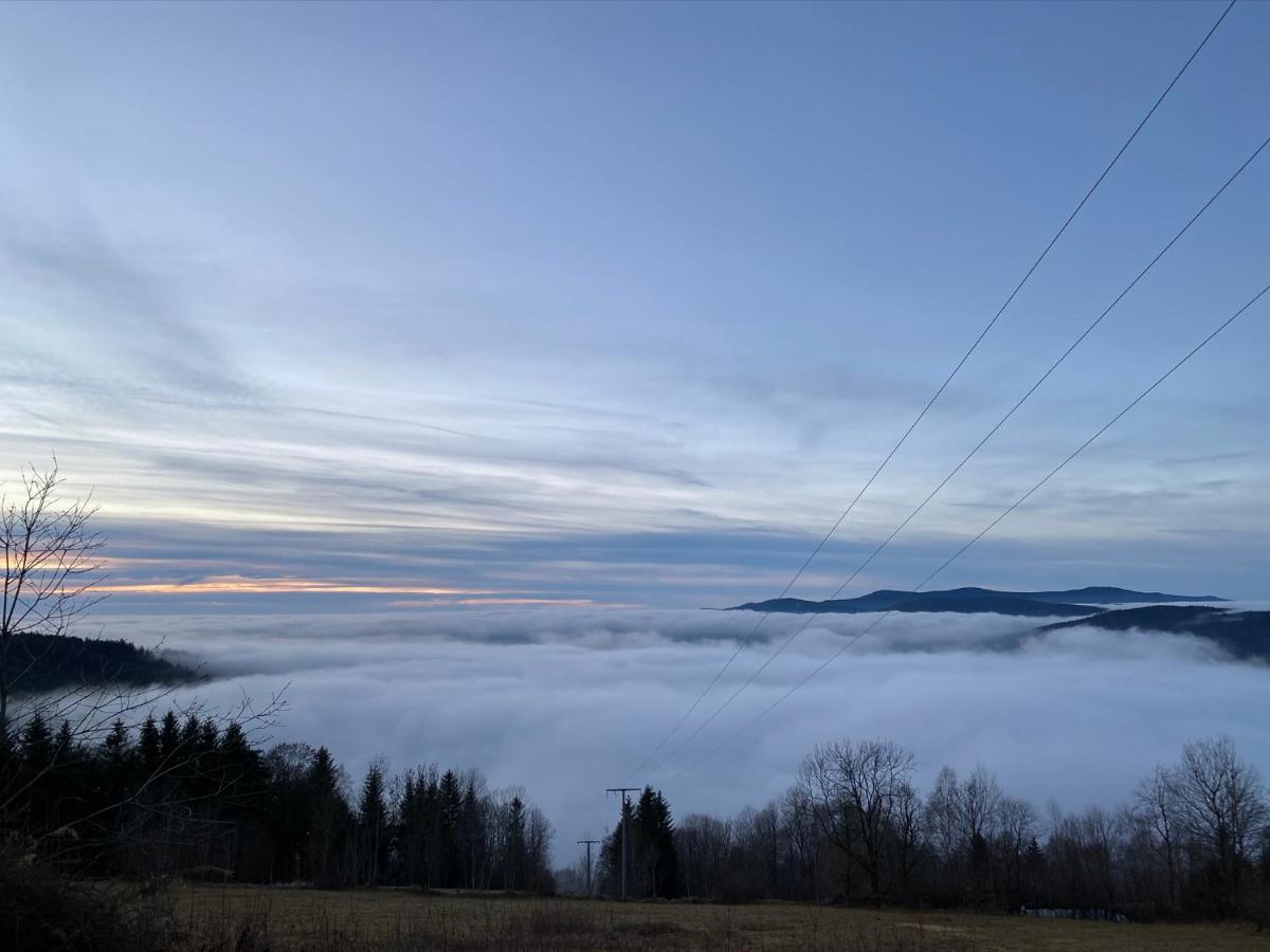 Mitten Im Bayerischen Wald-95M² Wohnung + *Netflix* Direkt Am Skilift! Schofweg Luaran gambar