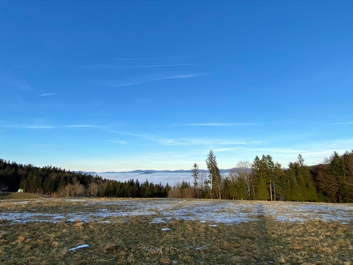 Mitten Im Bayerischen Wald-95M² Wohnung + *Netflix* Direkt Am Skilift! Schofweg Luaran gambar