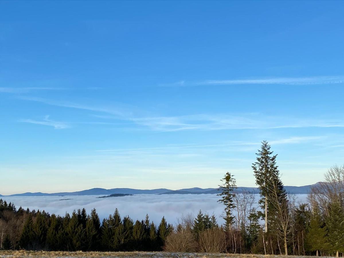 Mitten Im Bayerischen Wald-95M² Wohnung + *Netflix* Direkt Am Skilift! Schofweg Luaran gambar